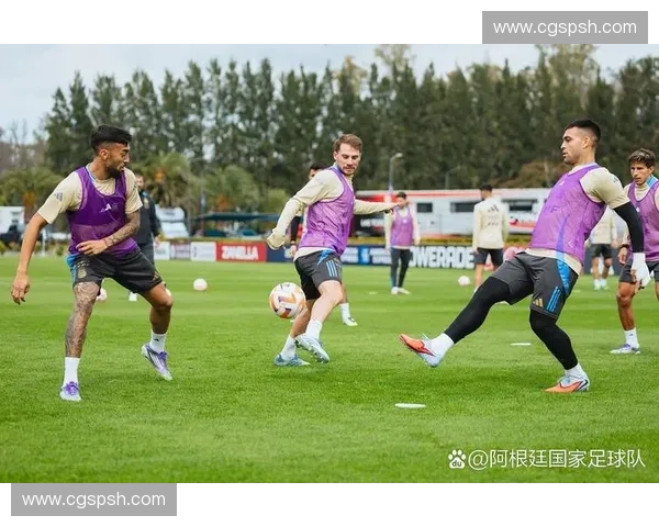 厄瓜多尔国家队历史成就与未来发展前景分析